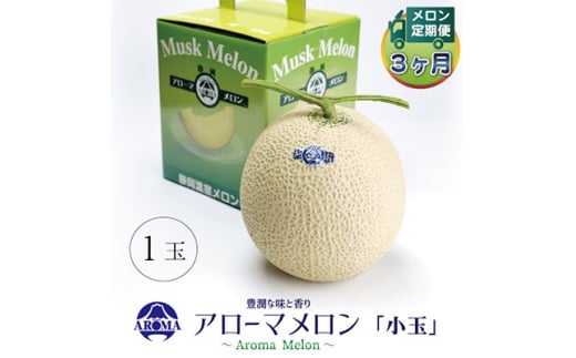 ＜毎月定期便＞アローマメロン(小玉) 1玉 全3回【4013007】