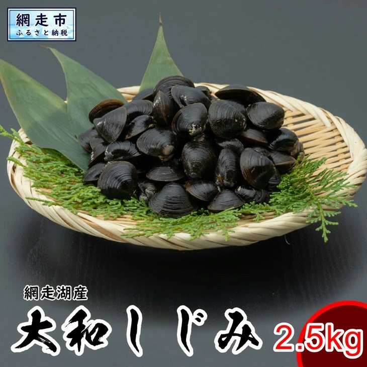 網走湖産 天然大粒 大和しじみ 2.5kg ABX033 | しじみ しじみ しじみ しじみ しじみ しじみ しじみ しじみ しじみ しじみ しじみ しじみ しじみ しじみ しじみ しじみ しじみ し