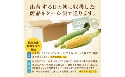 『★先行予約★8月初旬より順次発送』朝どり スイートコーン 25本 北海道産 とうもろこし ふるさと納税 北海道 恵庭市【31000102】