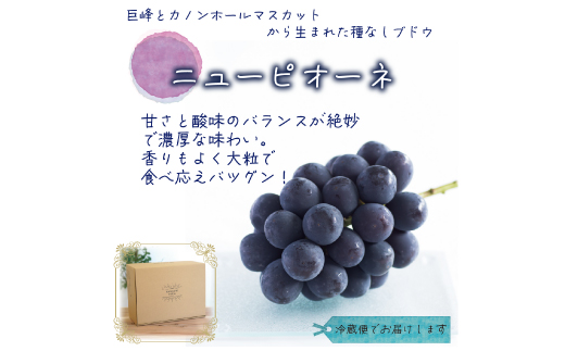 【2026年先行受付】岡山　花笑み農園の『ニューピオーネ』優品　約2kg(3～5房)　P-2優【配送不可地域：離島・北海道・沖縄県】