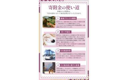 おまかせ野菜セット 2?3人分 約 5kg | 野菜 やさい 旬 の 野菜 長野県 塩尻市