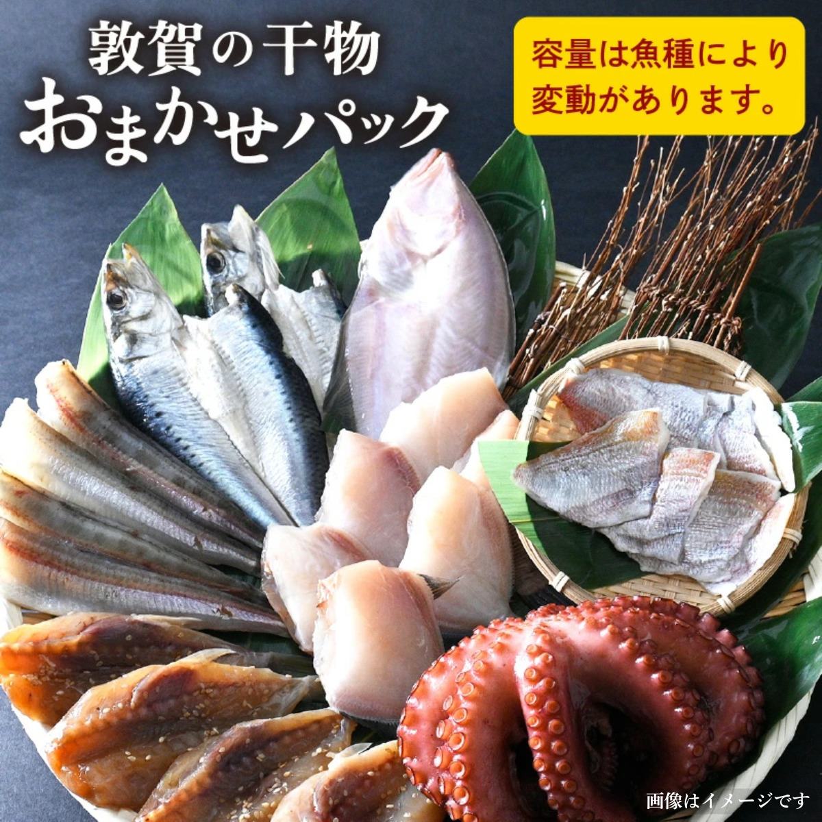 干物 敦賀の「干物詰め合わせセット」【海鮮 おかず おまかせ 保存料不使用】[051-a011]  【敦賀市ふるさと納税】
