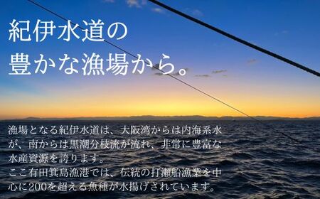 漁師の鮮魚箱（約4kg）(B890-3)