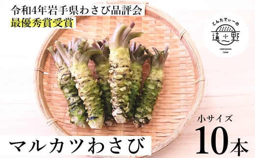 【令和4年岩手県わさび品評会最優秀賞受賞】マルカツ わさび 小サイズ 10本 真空 【こんたでぃーの遠野】