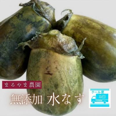 ふるさと納税 泉南市 まるやま農園 泉州水なす ぬか漬け　6個