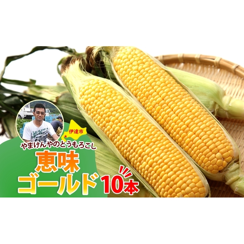 やまけんや とうもろこし 恵味ゴールド 10本 スイートコーン コーン 甘い サラダ スープ 生でも美味しい 産地直送 BBQ とうきび 国産 人気 バーベキュー 焼きとうもろこし 取り寄せ 糖度 北