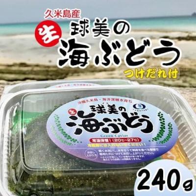 ふるさと納税 久米島町 球美の”生”海ぶどう(80g×3個+つけだれ)