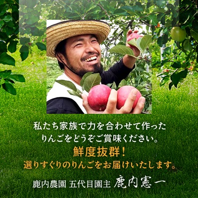 【甘くてみずみずしい】 りんご 葉取らずふじ 蜜入判定 約3kg (約9～12個) 青森市 産地直送【配送不可地域：離島】
