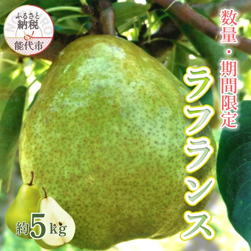 【ふるさと納税】【数量・期間限定】洋梨の女王「ラフランス」 5kg ［2025年11月中旬から出荷予定］秋田県 能代市 ラフランス 洋梨 フルーツ 果物 大玉　お届け：2025年11月中旬から順次発送予定