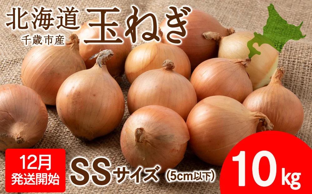 【先行予約】玉ねぎ 10kg SSサイズ 北海道 千歳市産 甘い たまねぎ 野菜 冷蔵 タマネギ 【假屋フードブリッジ】