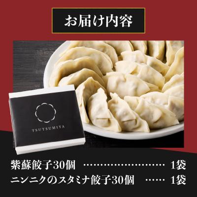 ふるさと納税 富士市 紫蘇餃子(30個)とニンニクのスタミナ餃子(30個) [sf001-224] |  | 02