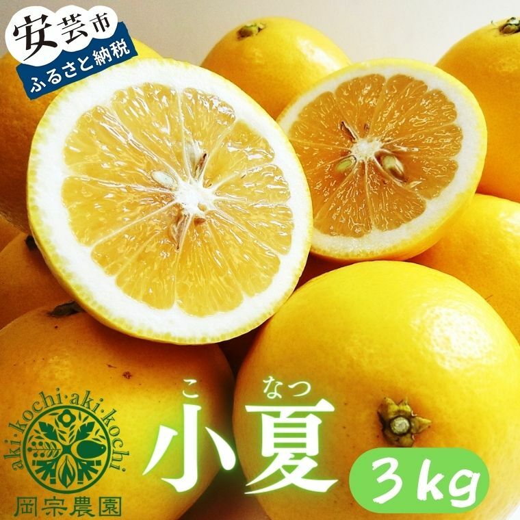 【ふるさと納税】 小夏 3kg みかん 柑橘 フルーツ 果物 先行予約 令和8年産 期間限定 季節限定 家庭用 自宅用 ギフト プレゼント 贈答 こなつ デザート スイーツ アレンジ ゼリー ジャム ケーキ メリーガーデン 高知県産 安芸市 高知県