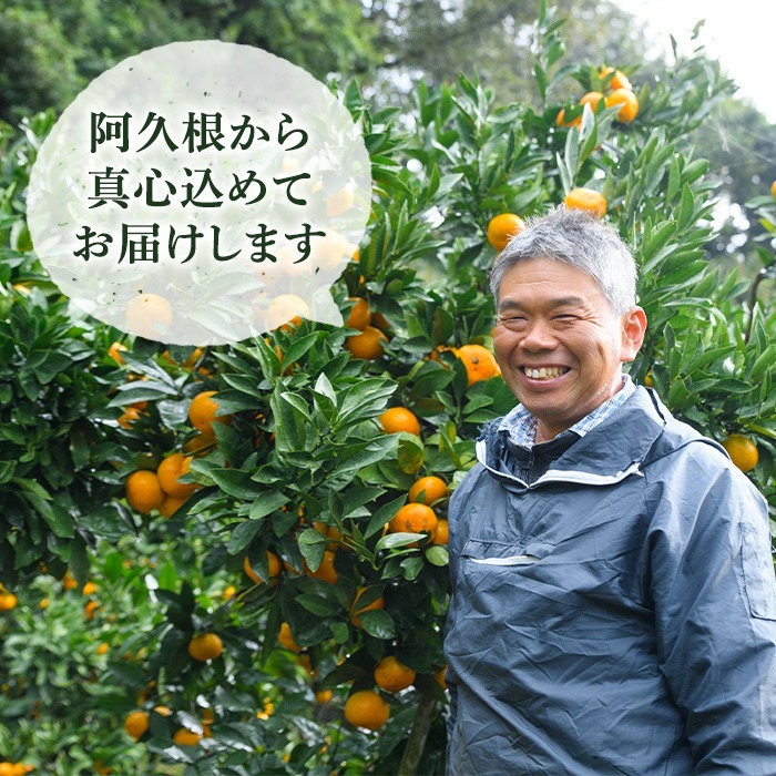 ＜先行予約受付中！2026年2月上旬以降順次発送予定＞数量限定！鹿児島県産 はるか(約9kg) 国産 柑橘 果物 果実 くだもの フルーツ 旬 デザート 期間限定 数量限定 鹿児島県産 阿久根市産 樹上完熟 ノーワックス【三笠農業生産】a-14-65-z