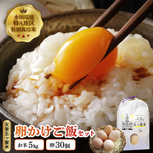 S061-003A_天草五ッ星米卵かけご飯セット(お米 5kg 卵 30個) /卵 たまご 卵かけ ご飯 米 お米 卵かけご飯 卵 たまご 卵かけ ご飯 米 お米 卵かけご飯 卵 たまご 卵かけ ご飯
