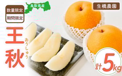 王秋【鳥取県産】5kg（生橋農園） 梨 鳥取 5kg 果物 フルーツ 和梨 先行予約 数量限定 詰め合わせ 今が旬 甘い 人気