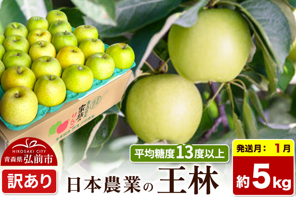 【27年1月発送】りんご 王林【訳あり】約5kg 平均糖度13度以上 青森県 弘前市 果物 フルーツ 林檎 リンゴ くだもの 不揃い 規格外 [先行予約 家庭用 産地直送 アップル 青森県 弘前市]