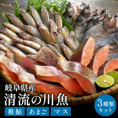 ふるさと納税 関市 学校給食馴染みの岐阜県産川魚セット (稚鮎・あまご・鱒 3種)