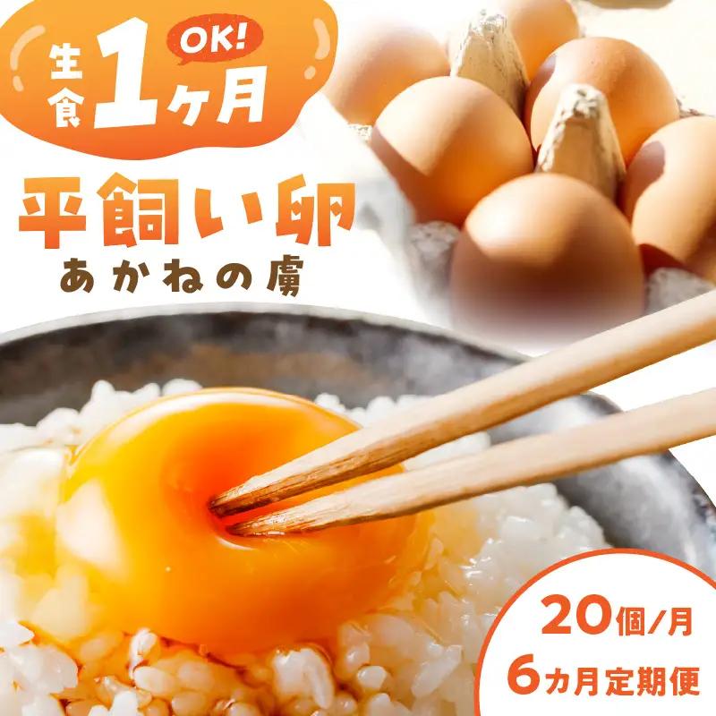 〈平飼い卵〉あかねの虜（20個/月）【6カ月定期便】【E4-006】飯塚市 たまご 平飼い 福岡 TKG たまごかけ 定期便 定期 6回 卵 生卵 鶏卵 