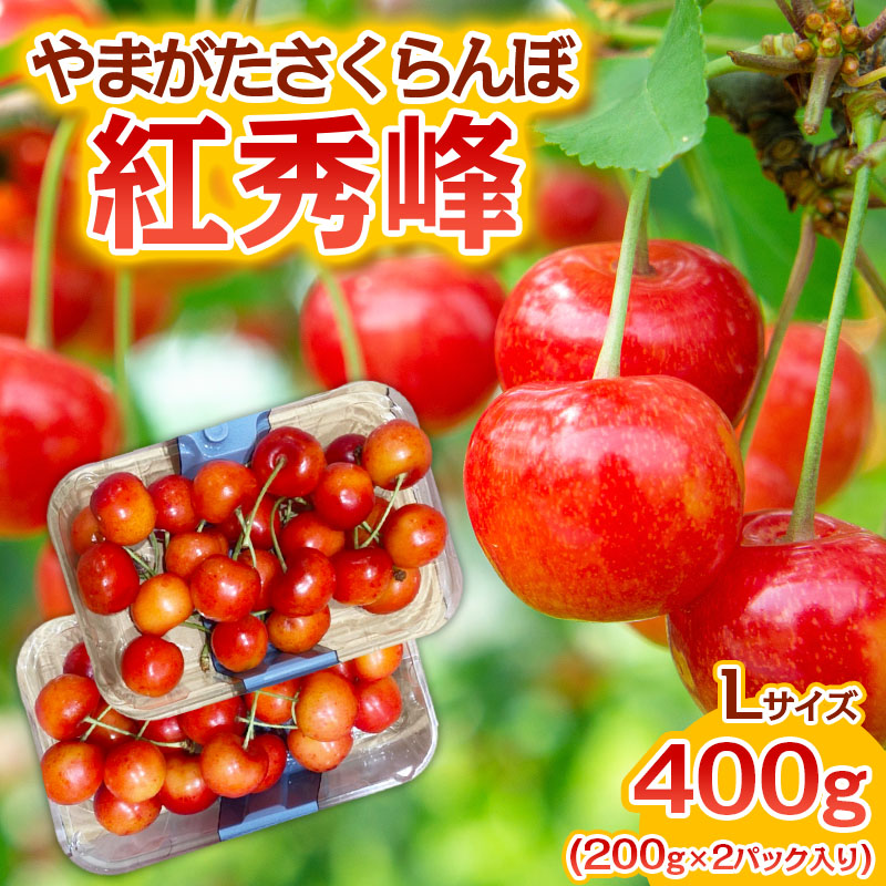 やまがた さくらんぼ 紅秀峰 Lサイズ 360g(180g×2パック入り) 1箱【令和8年産先行予約】FS25-575
