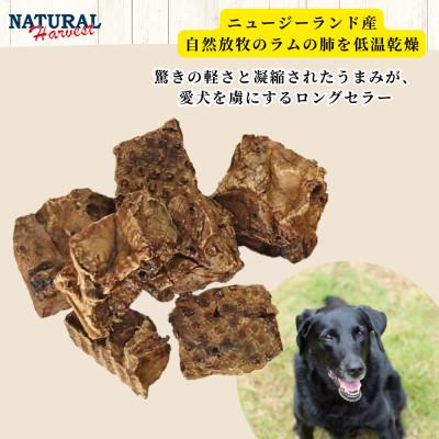 ふるさと納税 佐倉市 ドライドラムラング 計160g(80g×2袋) |  | 01