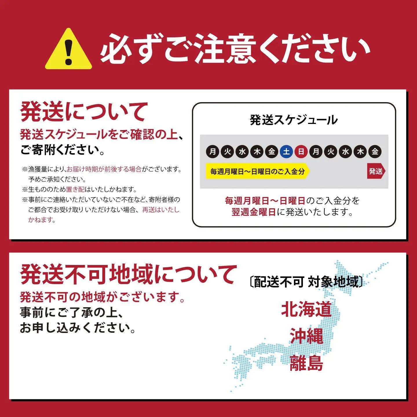 サーモン 約2kg 小分け 8～9P 国産サーモン