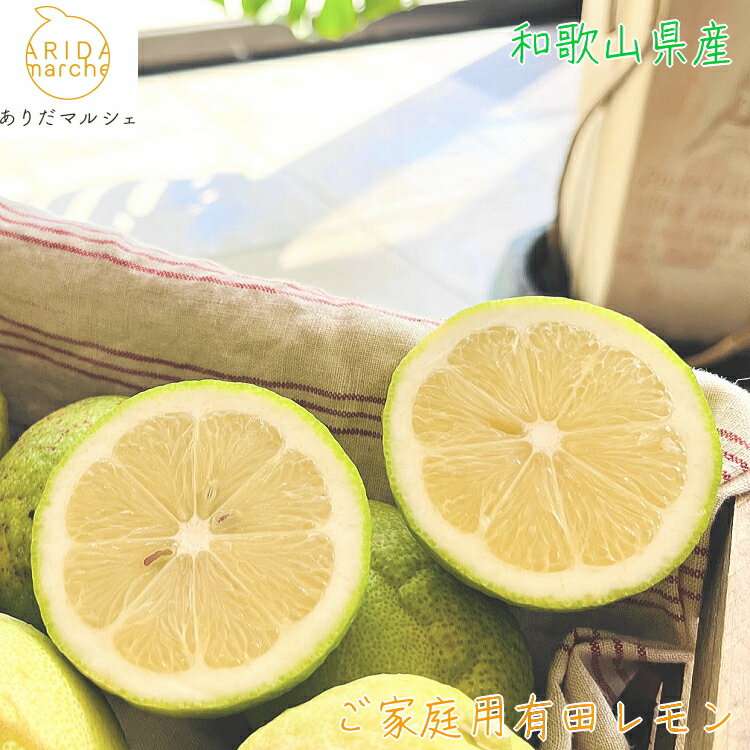 【ふるさと納税】【先行予約】 紀州 和歌山 ご家庭用 有田 レモン 【防腐剤・ワックス不使用】【農家直送】【訳あり】 ※2025年9月下旬～2026年3月下旬に順次発送 ※北海道・沖縄・その他離島地域は発送不可 / 檸檬 くだもの 果実 柑橘 果物 国産 和歌山 有田 //lemon