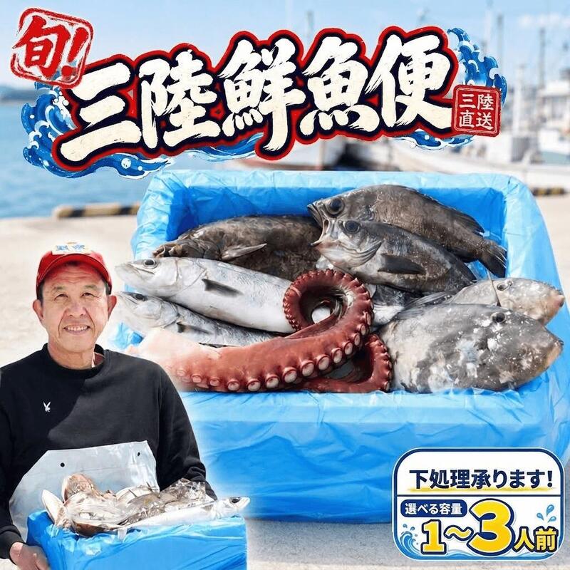 【ふるさと納税】 三陸の鮮魚便 1人~3人用 冷蔵 魚種お任せ 水揚げ 海鮮 魚介 産地直送 新鮮 天然 魚 詰め合わせ 下処理 鮮魚便 鮮魚セット 三陸産 国産 海鮮 旬 岩手県 大船渡市