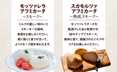  3ヶ月定期便 チーズ 4種 詰め合わせ 各1個 Osteria e Bottega S モッツァレラ ブラッターチーズ スカモルツァアフミカータ 神奈川県 茅ケ崎市 加工食品 乳製品 牛乳 手作業 