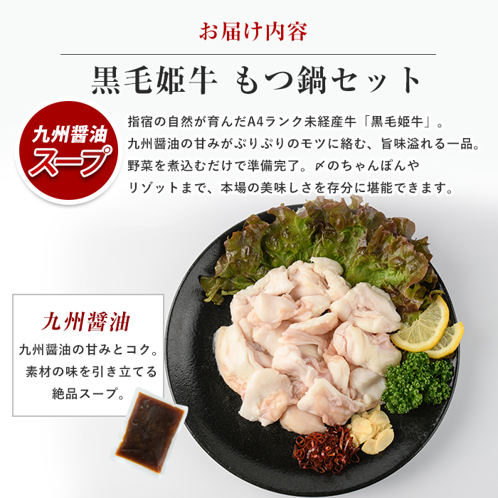 鹿児島県産黒毛和牛もつ鍋セット300g(2人前)×2セット(Meat you/IB029-008)