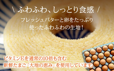 パティスリー焼き菓子セット 計20個 ギフト箱入り 愛媛県大洲市/有限会社冨永松栄堂 お菓子 おやつ おかし 詰め合わせ ギフト[AGCB007]