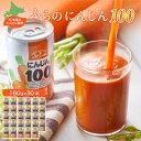 【ふるさと納税】【北海道産にんじん使用】ふらの にんじん100 160g×30本入_ ニンジンジュース 人参 にんじん ジュース 飲料 ドリンク ストレート にんじん100 野菜ジュース 北海道 国産 贈答 ギフト 野菜 人気 おすすめ 美味しい 安心 北海道産人参 缶ジュース 【1295396】