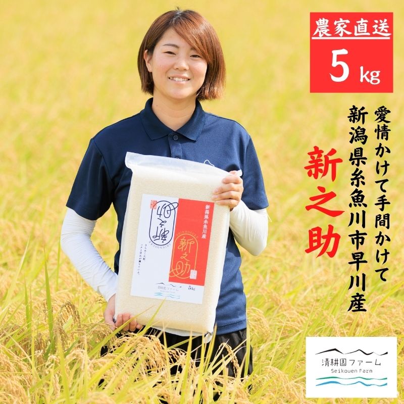 【ふるさと納税】 令和7年産 『新之助』 5kg 新潟県産 農家直送 真空パック 令和7年産 糸魚川 清耕園ファーム 美味しい 農家自慢 お米 白米 おにぎり お弁当 大粒 ツヤ 甘み 深い味わい 粘り 弾力 米