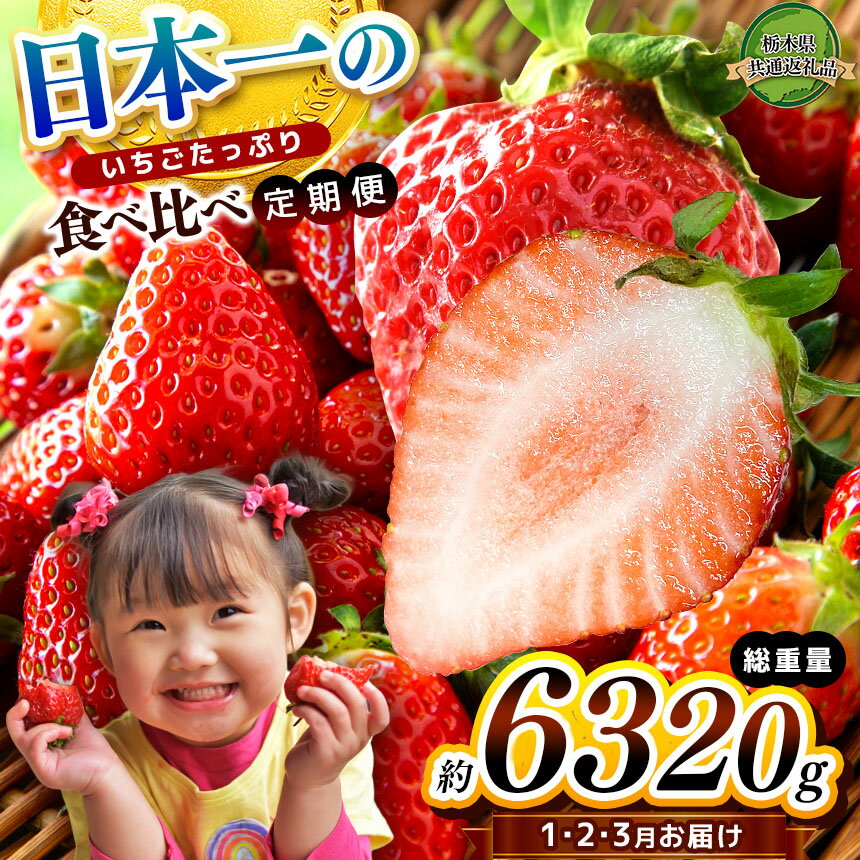 【ふるさと納税】【栃木県共通返礼品】【定期便3回】日本一のいちごたっぷり食べ比べ定期便 | いちご とちあいか 朝採れ たっぷり ぎっしり ジューシー 大粒 新鮮 甘い 数量 限定 美味しい 果物 フルーツ デザート 栃木県 那珂川町 送料無料 贅沢 ご褒美