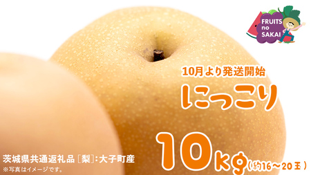 にっこり 梨 10kg （16～20玉）【2026年10月より発送開始】（茨城県共通返礼品 [梨]：大子町産）