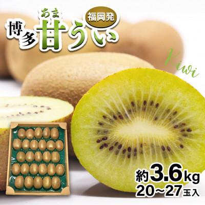 ふるさと納税 行橋市 【2026年11月上旬〜11月下旬発送予定】博多甘うぃ(キウイフルーツ) 約3.6kg (行橋市)