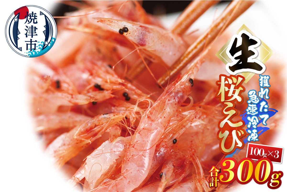 a10-1249　生桜えび100g×3パック 合計300g