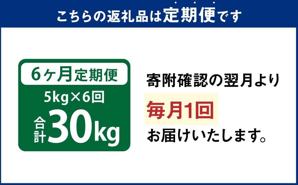 【6ヵ月定期便】 九重 ひとめぼれ 5kg×6回 計30kg