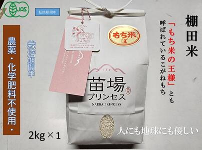魚沼産こがねもち 精米2kg 有機jaＳ認証米 |津南町 こがねもち