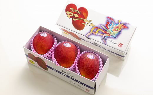 【先行受付】【2024年発送】神谷ファームのマンゴー（極）約1Kg