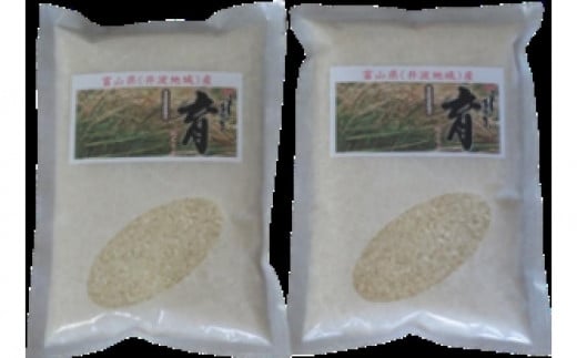 
            【令和7年産】使いきりパック  富山県産こしひかり 　育（はぐくみ）  白米450ｇ（３合）２個セット《南砺の逸品》
          