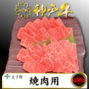 【ふるさと納税】神戸牛　TSY2　焼肉用　600g【配送不可地域：離島】【1509909】