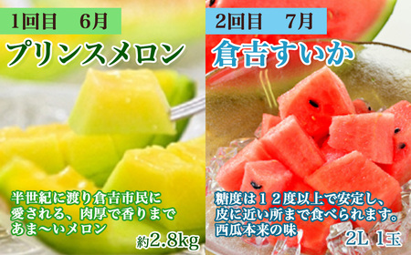【数量限定】倉吉のフルーツ定期便 2026 先行予約 【6月から6回のお届け】鳥取県 倉吉市 新甘泉 二十世紀梨 王秋 スイカ プリンスメロン ディーバメロン メロン 6回 お届け 果物 定期便 期間