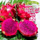 【ふるさと納税】奄美産 食べごろ樹上完熟『赤蜜ドラゴンフルーツ』1kg×2箱セット＜北海道・沖縄県配送不可＞ | 果物 くだもの フルーツ お取り寄せ グルメ 人気 おすすめ 九州 奄美 奄美大島 鹿児島 鹿児島県 送料無料 先行受付