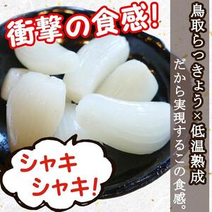 ふぞろいらっきょう甘酢漬け 190gｘ10袋 【低温熟成 無添加】