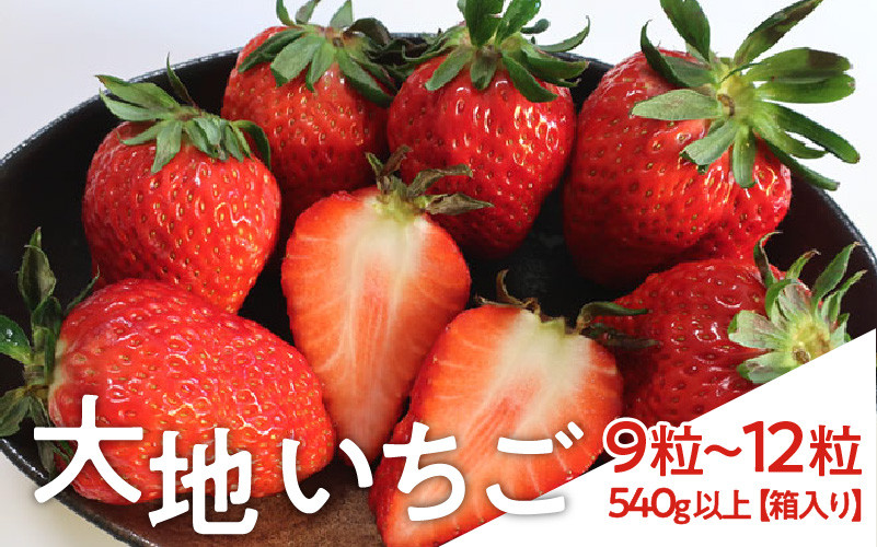 
            大地いちご
          