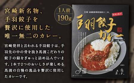 〈 みやざき餃子新名物 手羽餃子カレー 10箱 〉翌月末迄に順次出荷 カレー 餃子 ギョウザ ギョーザ 手羽餃子 レトルト 常温保存 餃子の馬渡【c1261_mw】