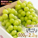 山梨県笛吹市産 シャインマスカット 約1.2kg以上(2〜3房) 2023年発送分