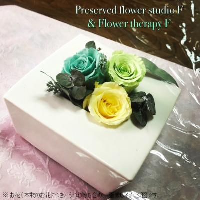 ふるさと納税 八尾市 プリザーブドフラワー　ストレスの解放(自然にみをゆだねて)(B208)