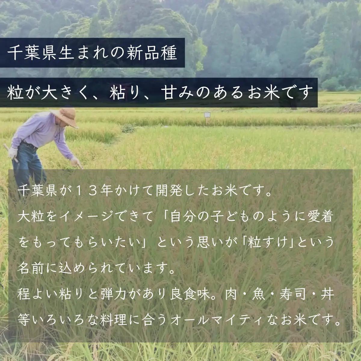 千葉県産「粒すけ」無洗米 5kg（5kg×1袋） A063
