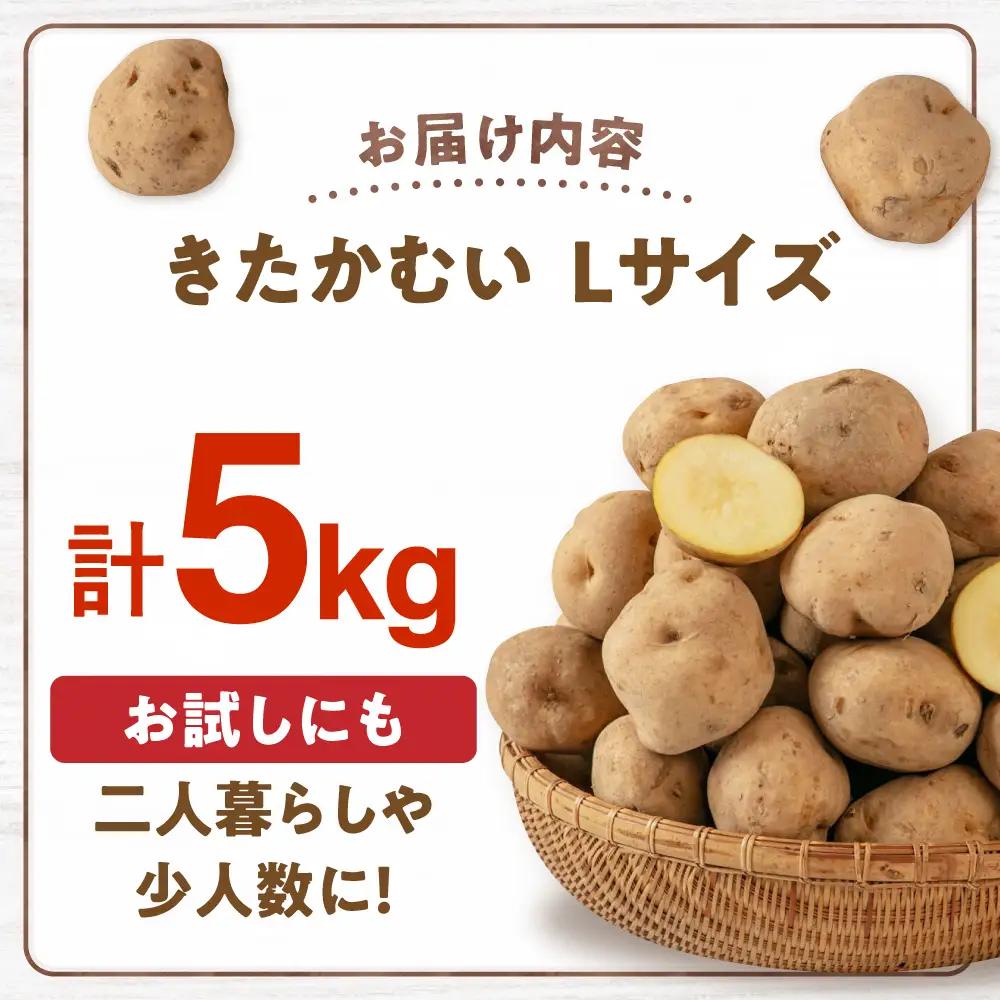 【先行予約】じゃがいも きたかむい 5kg [AJAK029] じゃがいも 